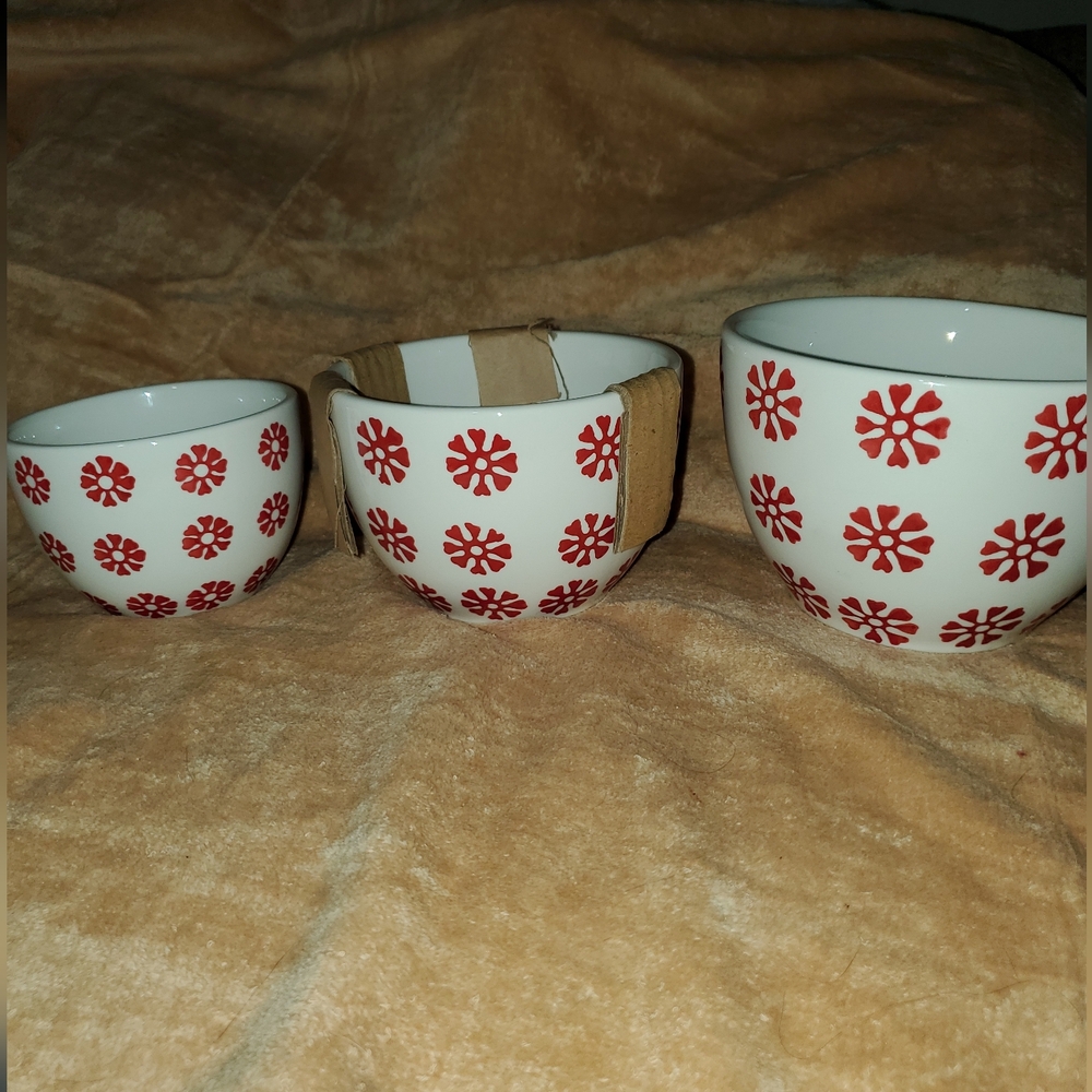 NWB Crate&Barrel Red and White Decorative Bowls - Picture 5 of 5